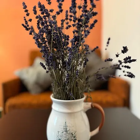 Formanka Hotel Hustopeče