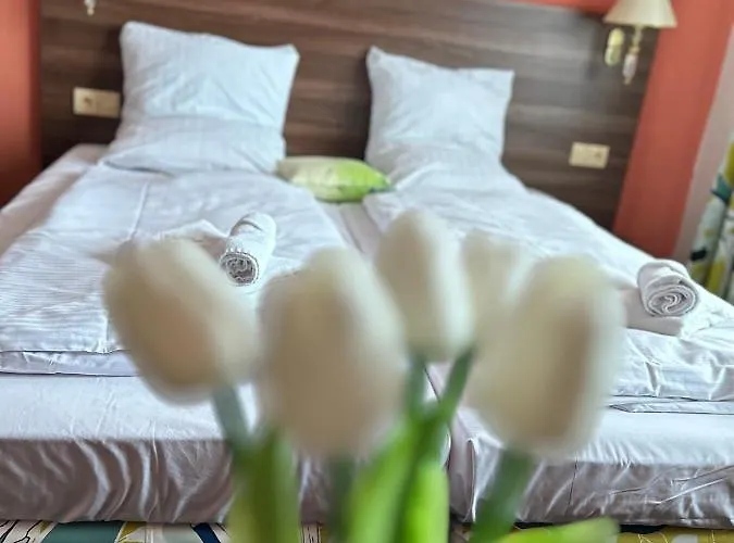 Hotel Formanka 3*